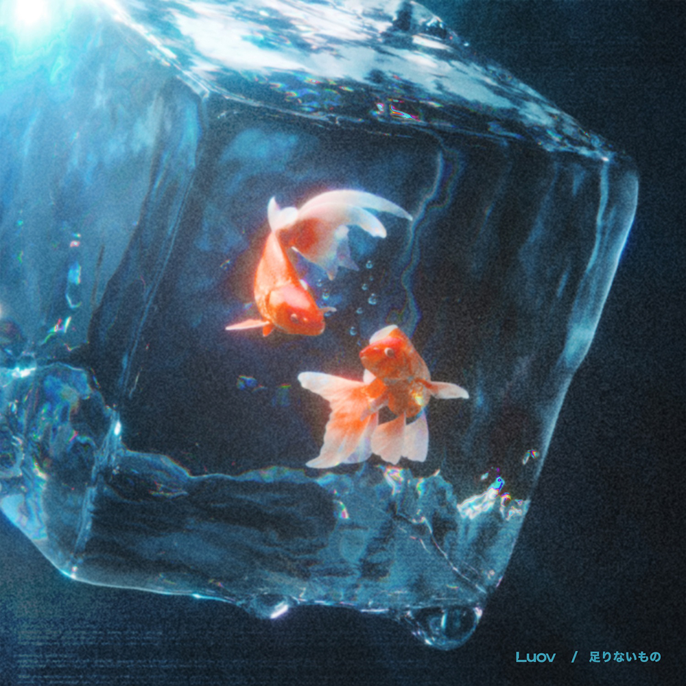 ジャケ