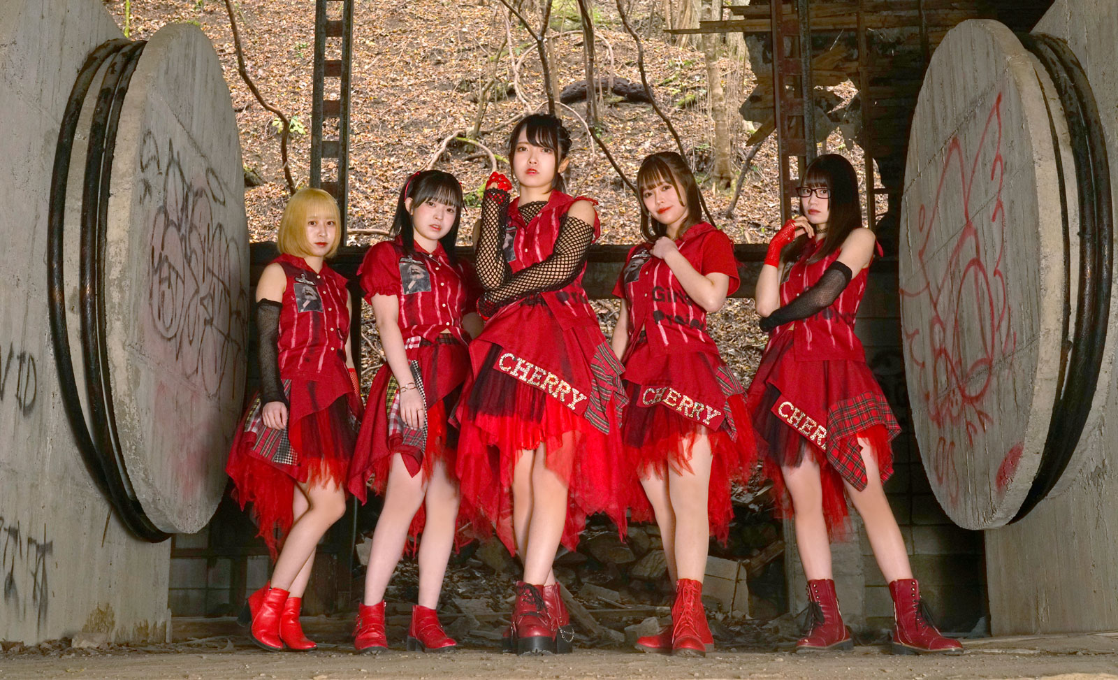 CHERRY GIRLS PROJECT