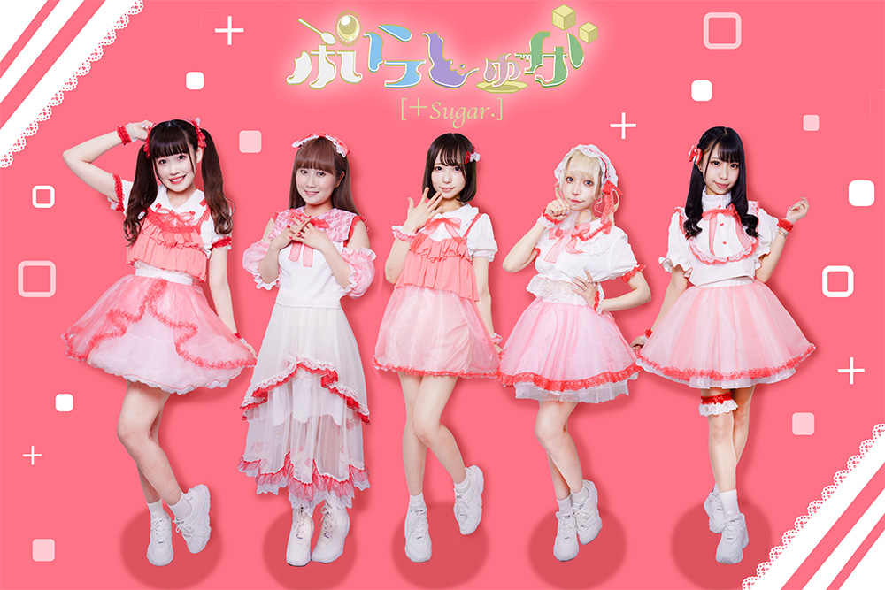 ぷらしゅが、11月7日(月)、新宿BLAZEを舞台にワンマン公演を開催。その背景にあったのは…。　 ぷらしゅが　インタビュー１