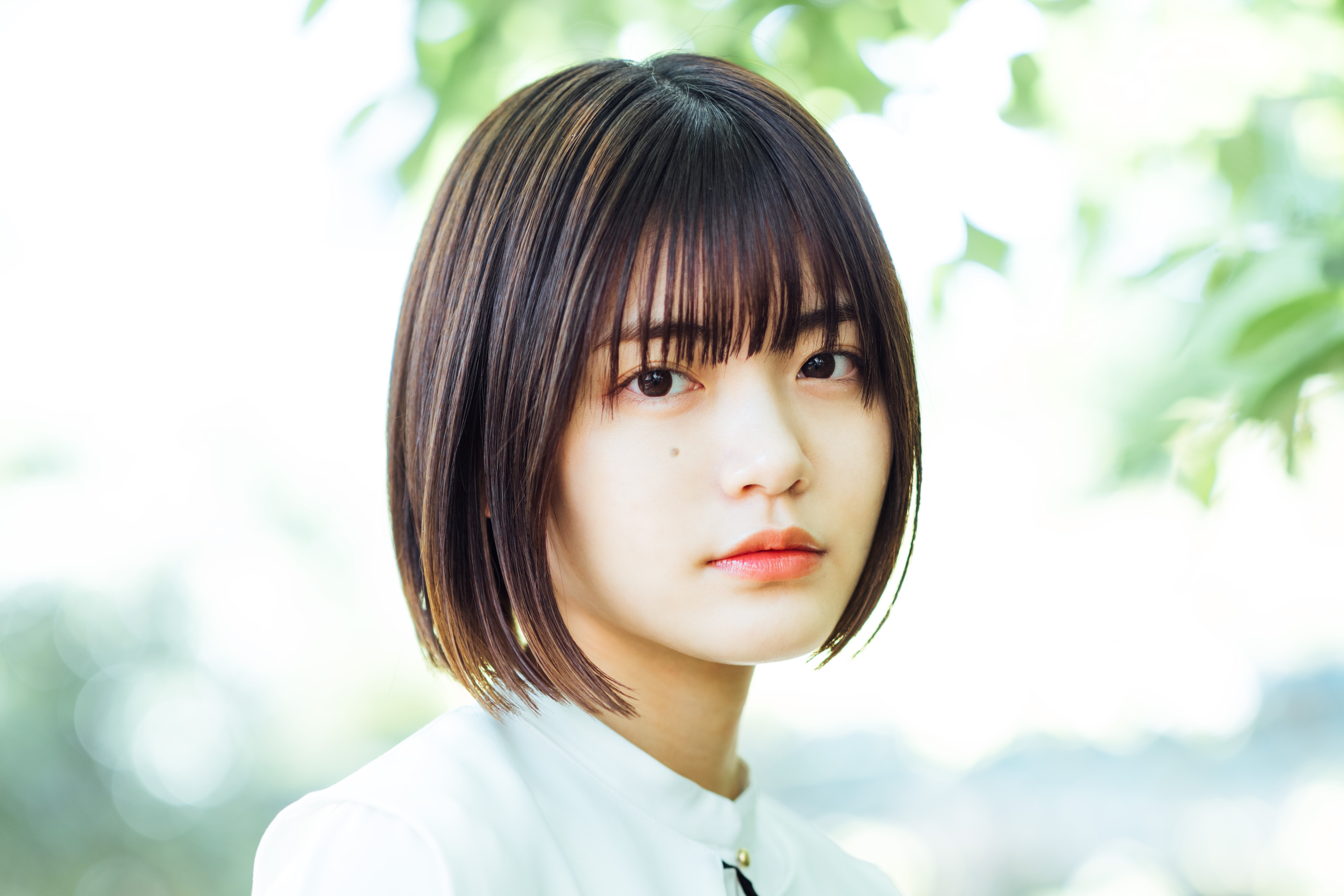 森ふた葉