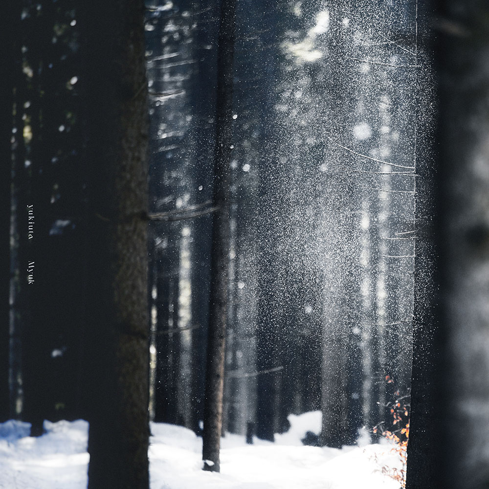 「雪唄 - yukiuta」ジャケ写.jpg 