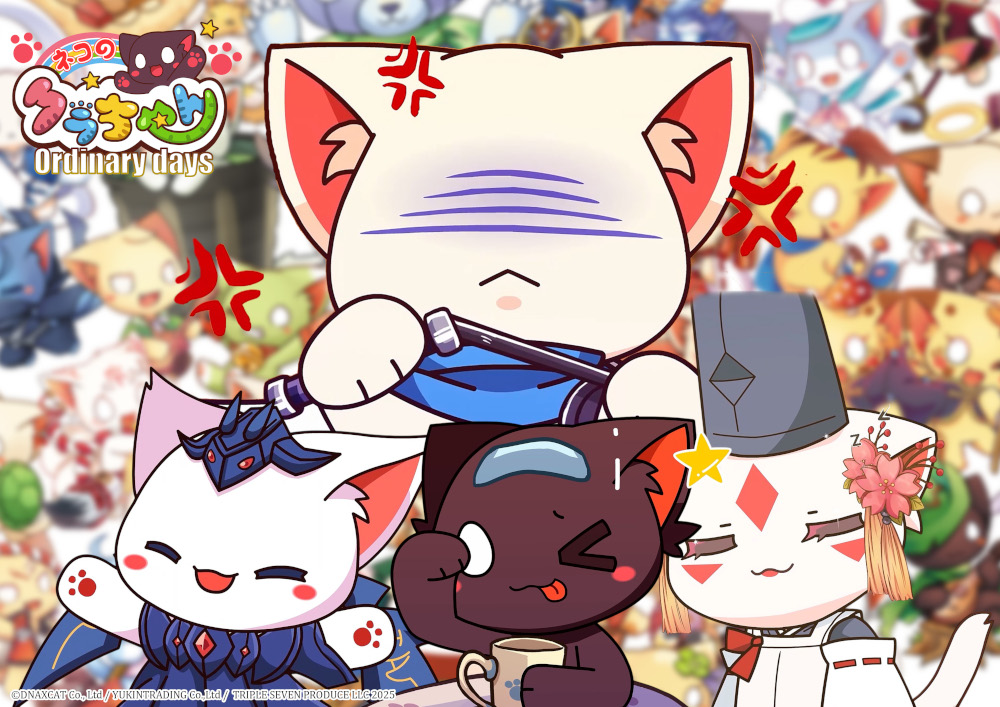 ジャケット