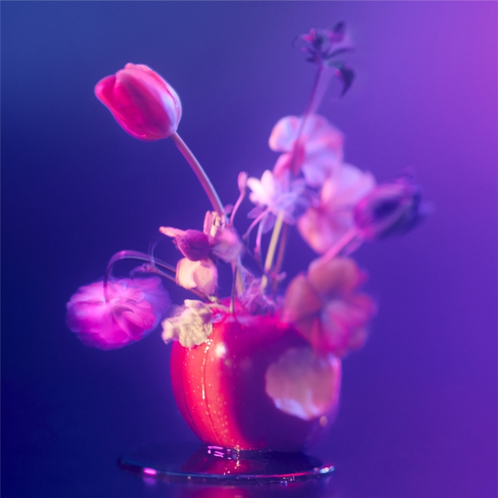 ラストシーン_JK_s