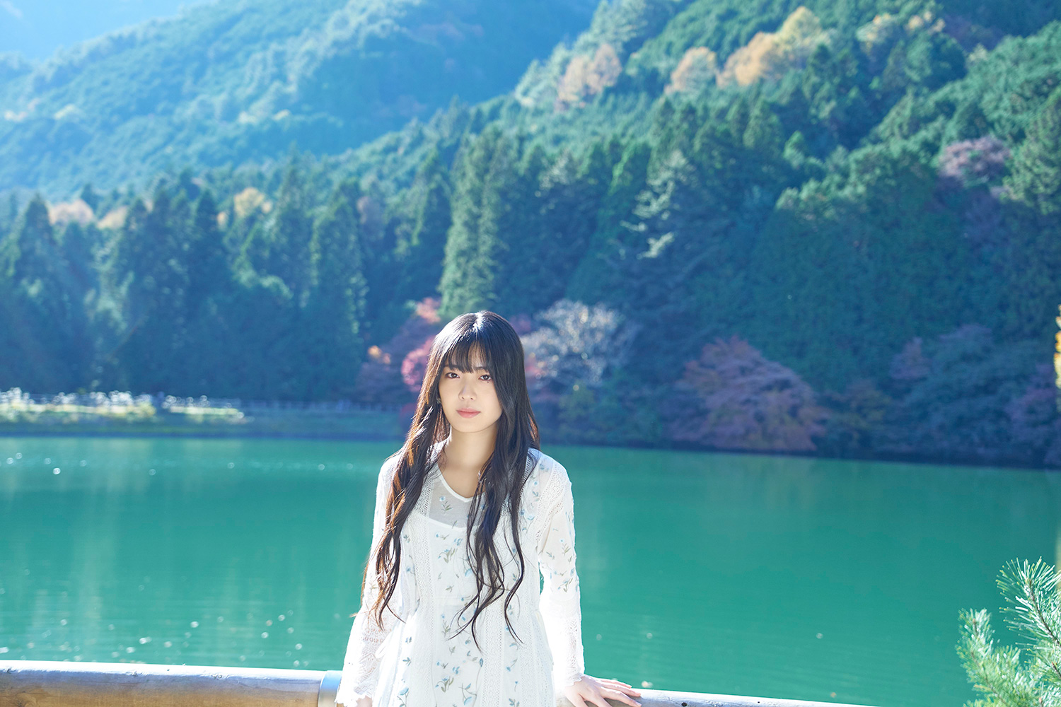 アー写