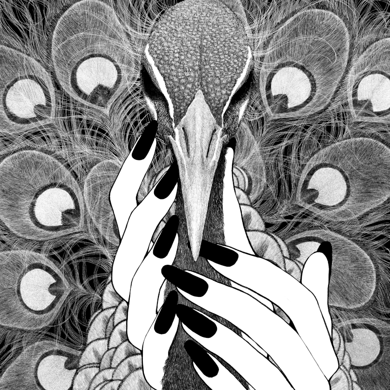 ジャケット