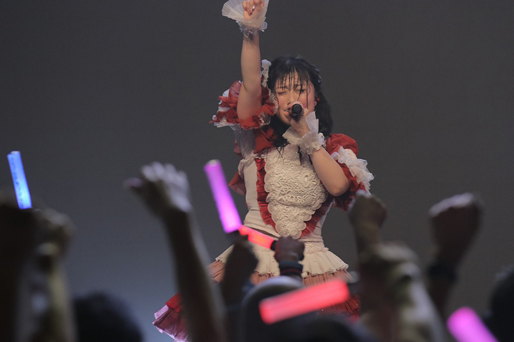 にいぼすみれ