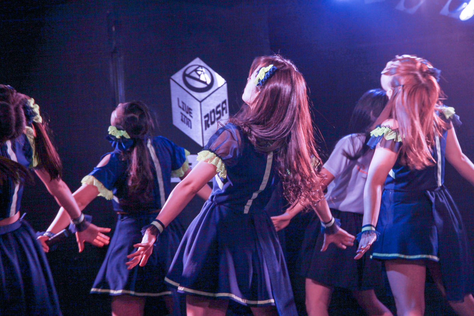 ライブ写真