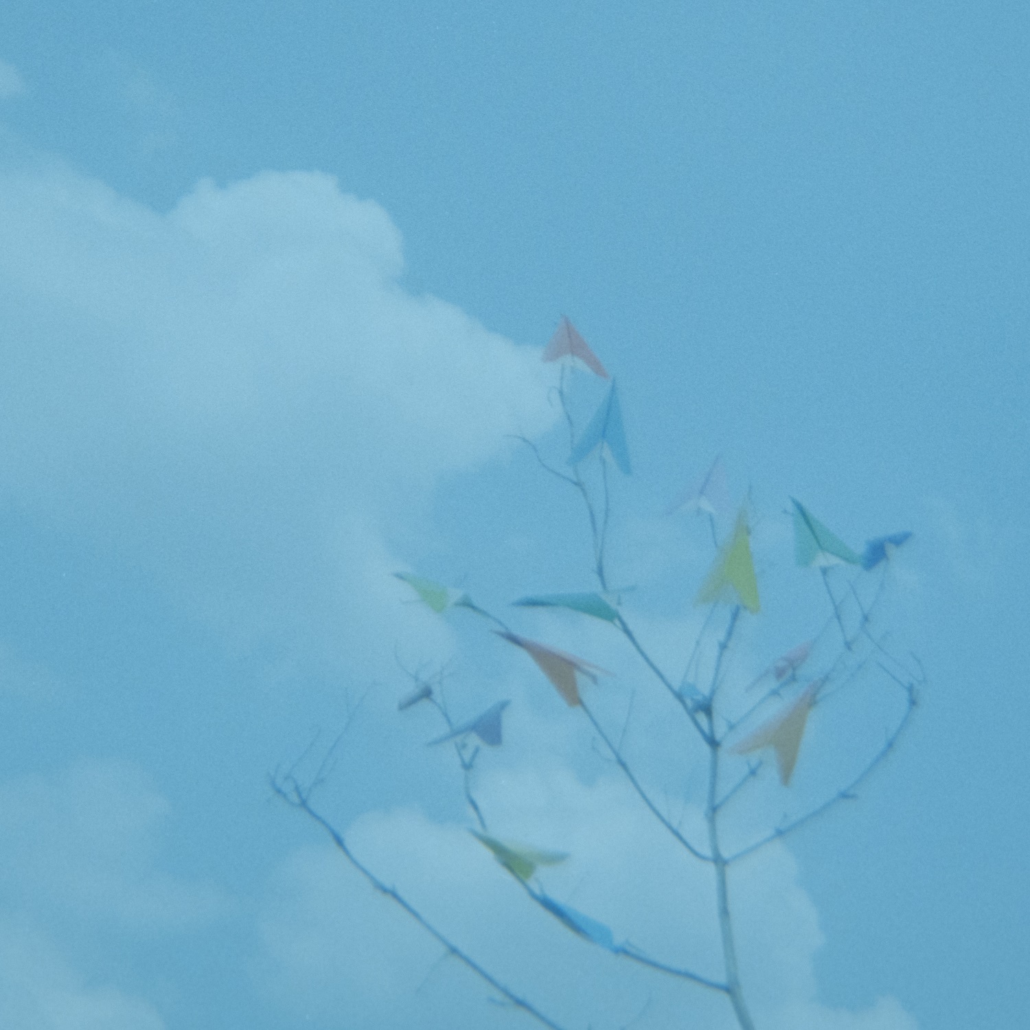 風にとどけ