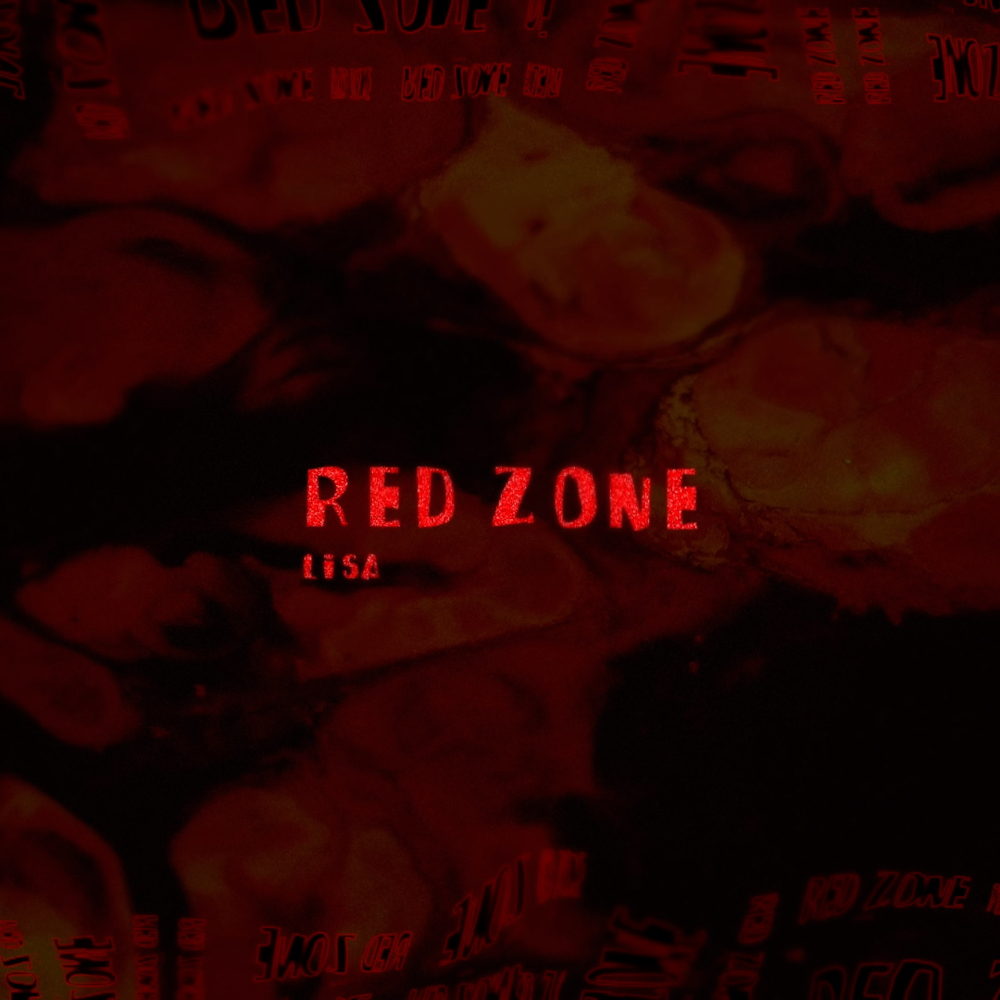 RED ZONE_visual