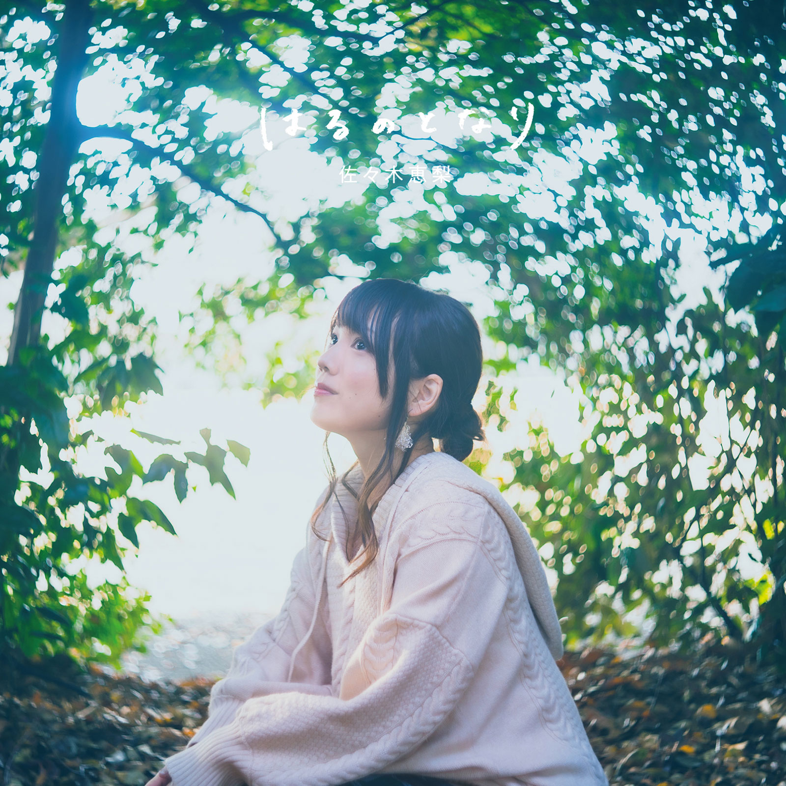 佐々木恵梨