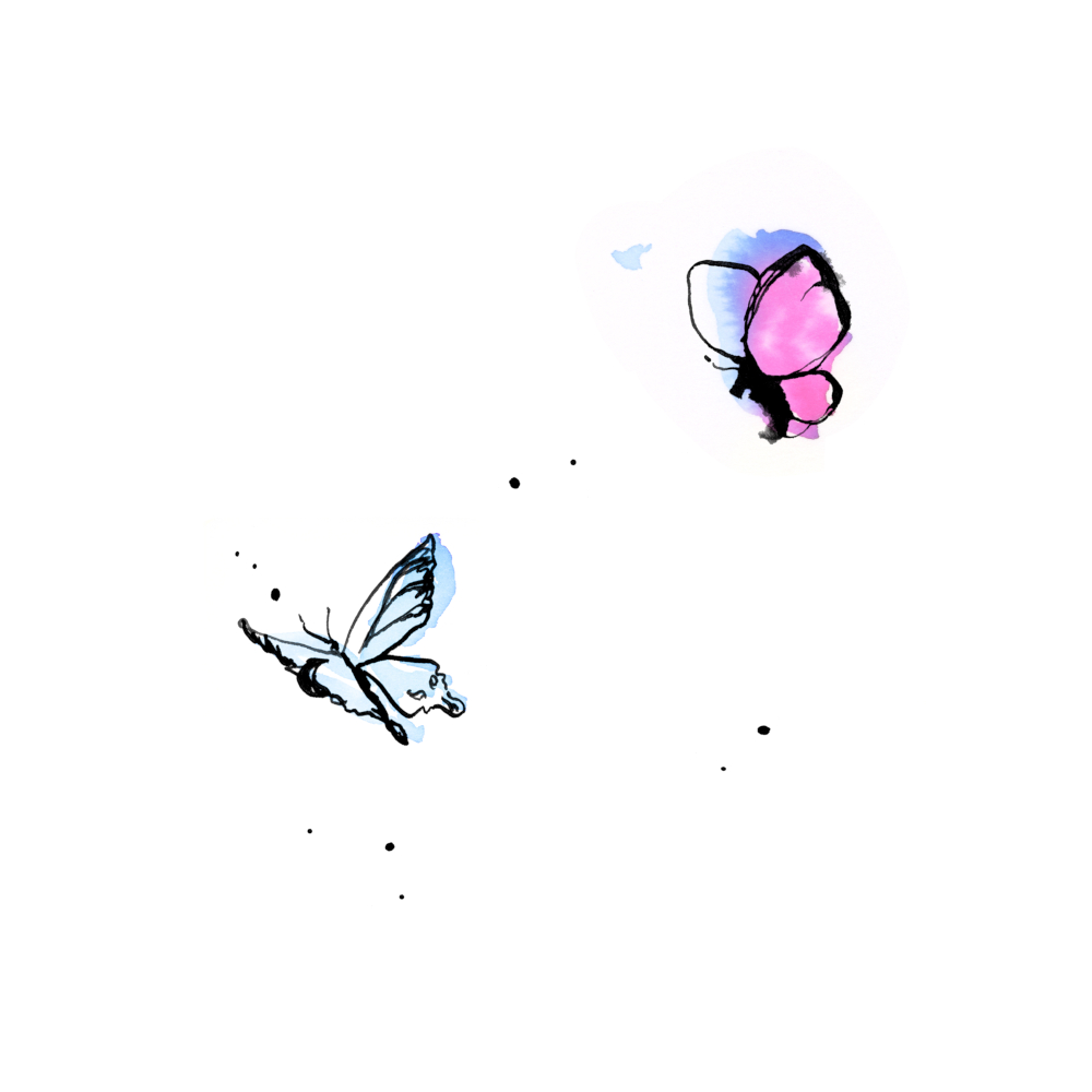 iri buttefly FIX